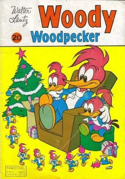 Cover of Issue #20