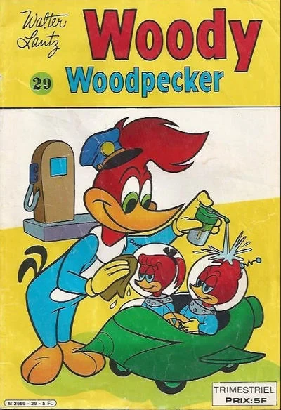 Cover of Issue #29