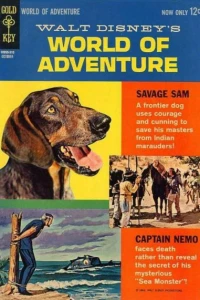 Issue #3