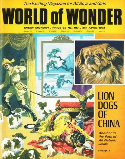Cover of Issue #107
