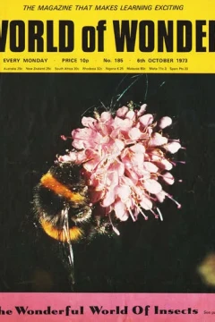 Issue #185