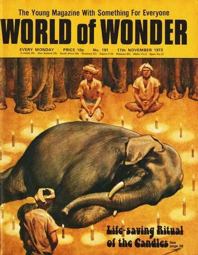 Cover of Issue #191