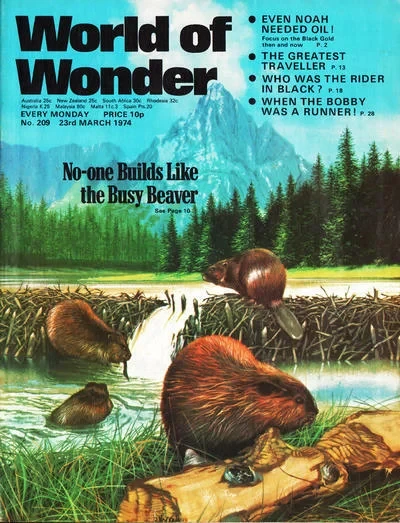 Cover of Issue #209