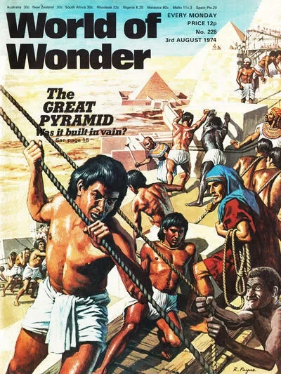 Cover of Issue #228