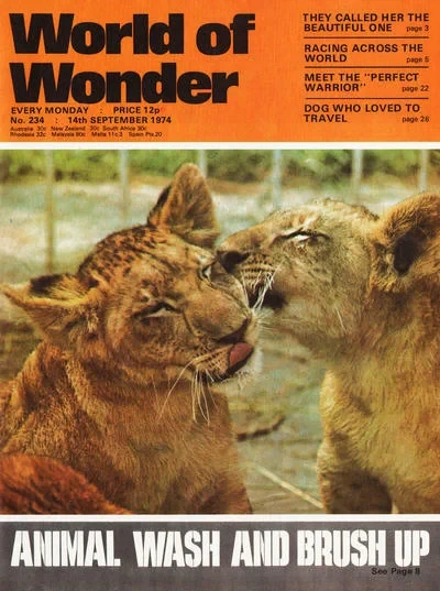 Cover of Issue #234