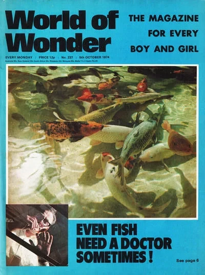 Cover of Issue #237