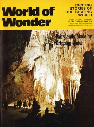 Cover of Issue #241