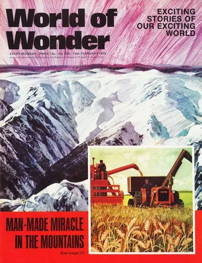 Cover of Issue #256