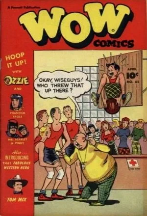 Cover of Flash in the Dash