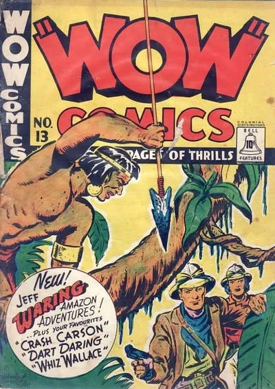 Cover of Issue #13