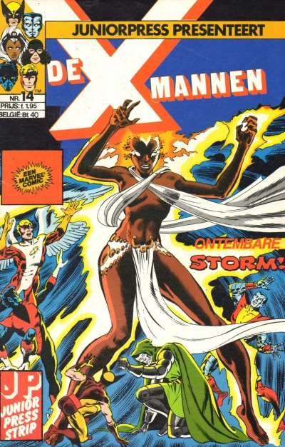 Cover of Ontembare Storm