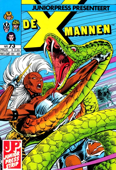 Cover of Voorspellingen