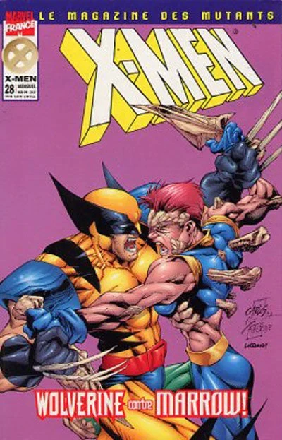 Cover of Les Leçons de la vie