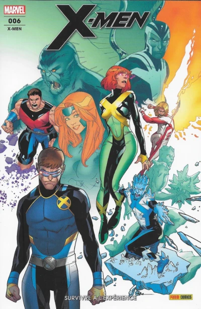 Cover of Survivre à l'expérience