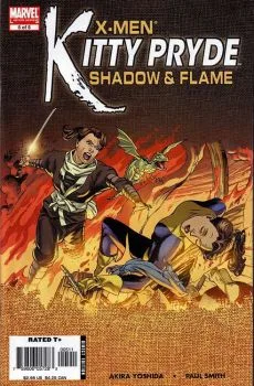 Cover of Shadow & Flame - Conclusion