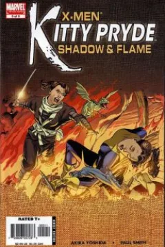 Shadow & Flame - Conclusion