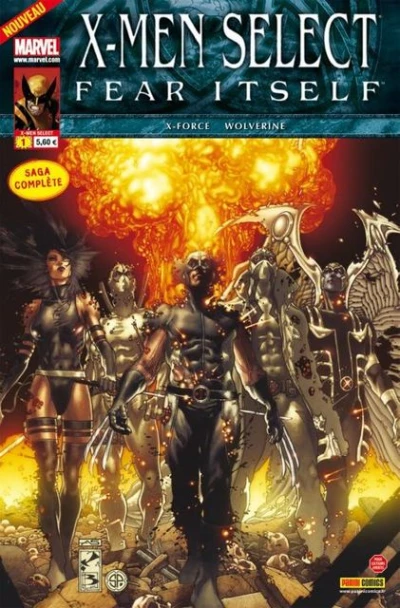 Cover of Fear Itself