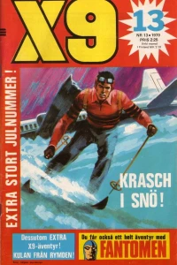 Krash i snö