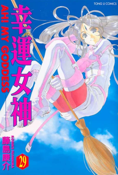 Cover of Vol. 29