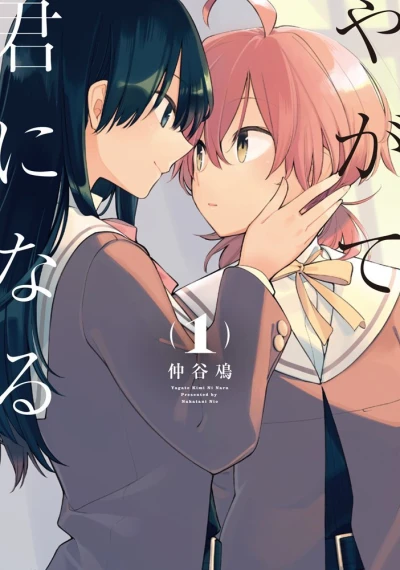 Cover of Vol. 1