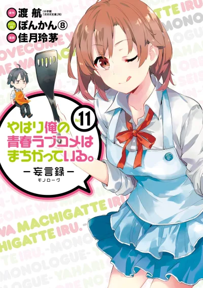Cover of Vol. 11