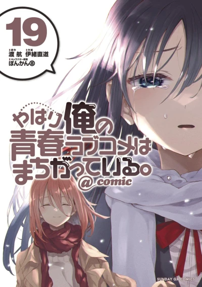 Cover of Vol. 19