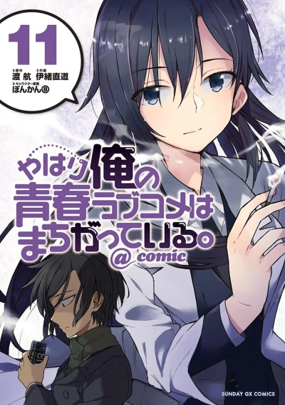 Cover of Vol. 11