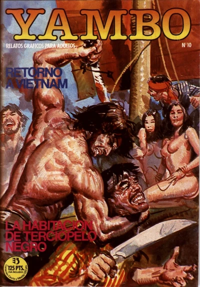 Cover of Retorno a Vietnam; La Habitación de terciopelo negro