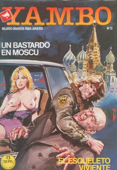 Cover of Issue #13