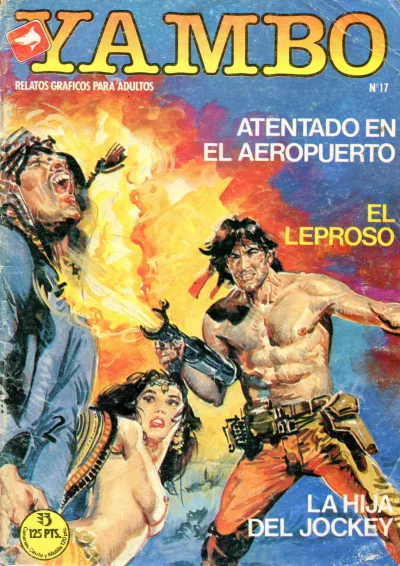 Cover of Issue #17