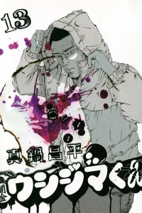 Vol. 13