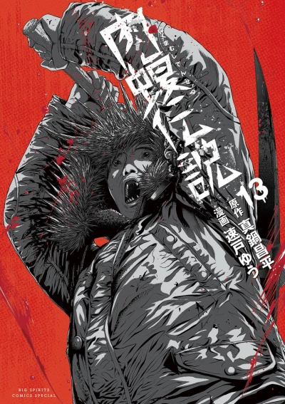 Cover of Vol. 13