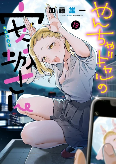 Cover of Vol. 13