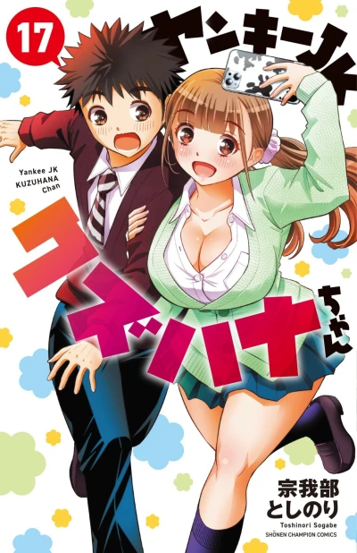 Cover of Vol. 17