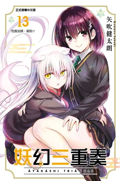 Cover of Vol. 13