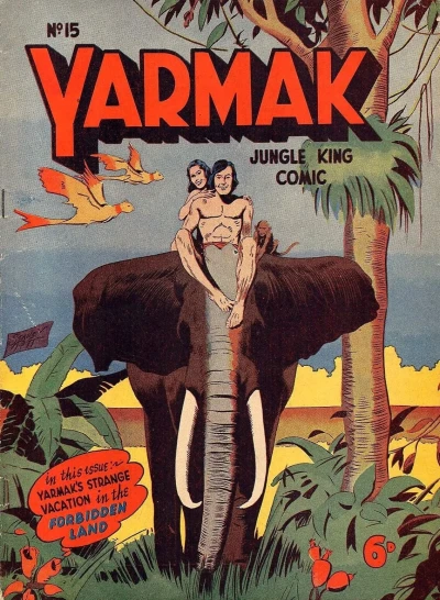 Cover of Issue #15