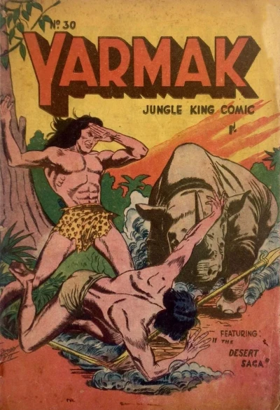 Cover of Issue #30