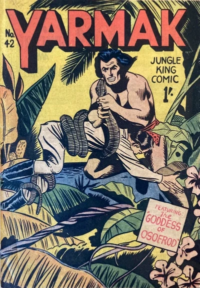 Cover of Issue #42