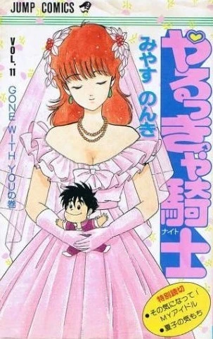 Cover of Vol. 11