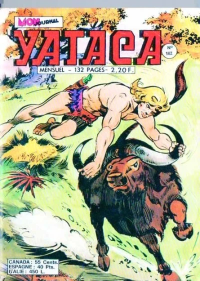 Cover of Les Dieux fous