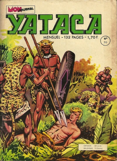 Cover of La reine des brumes