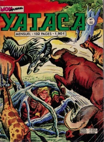 Cover of Le mal de la montagne