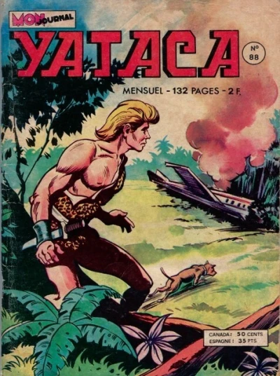 Cover of Fuite éperdue