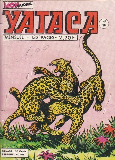 Cover of Le pays des hommes lions