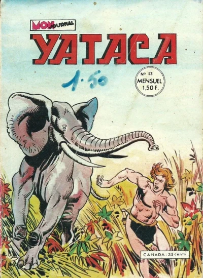 Cover of La vallée secrète