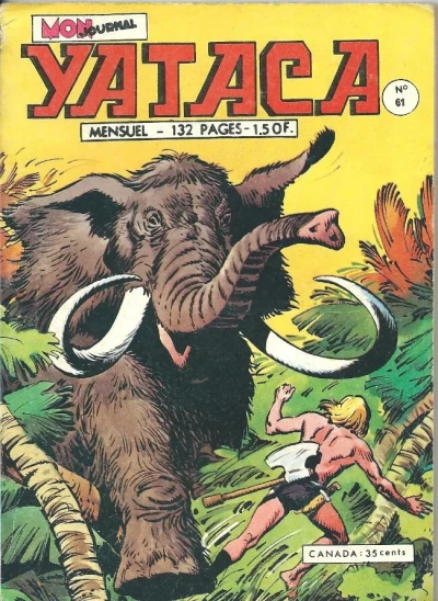 Cover of L'age de pierre