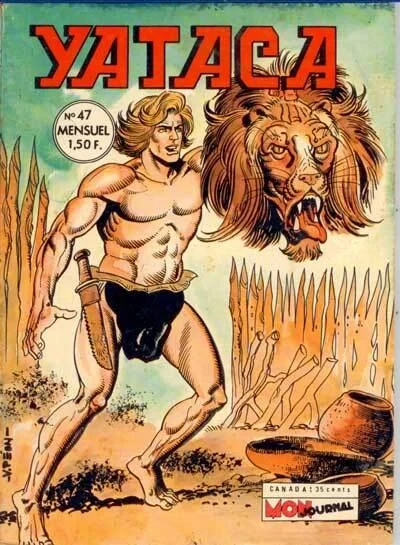Cover of Le lion fou