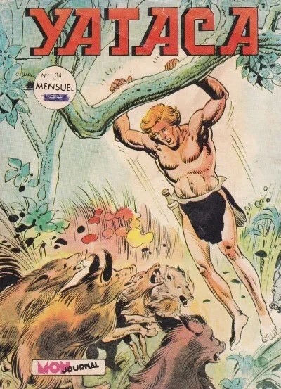 Cover of Le sortilège du vautour chauve