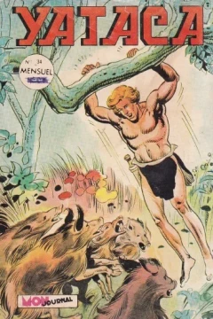 Le sortilège du vautour chauve