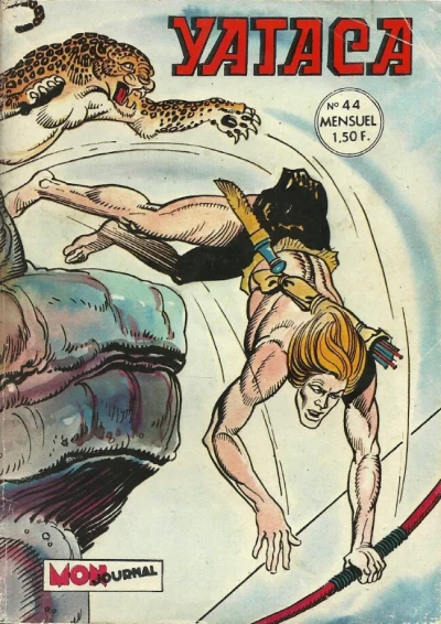 Cover of Les fils du lion